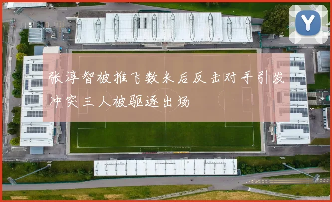 张淳智被推飞数米后反击对手引发冲突三人被驱逐出场