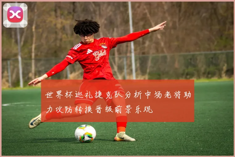 世界杯巡礼捷克队分析中场老将助力攻防转换晋级前景乐观